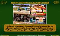 عرضه مستقیم خرما